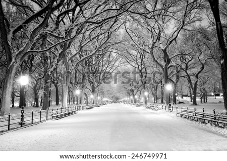 The Mall in Central Park, NYC, during a snow storm, early in the morning. Royalty-Free Stock Photo #246749971
