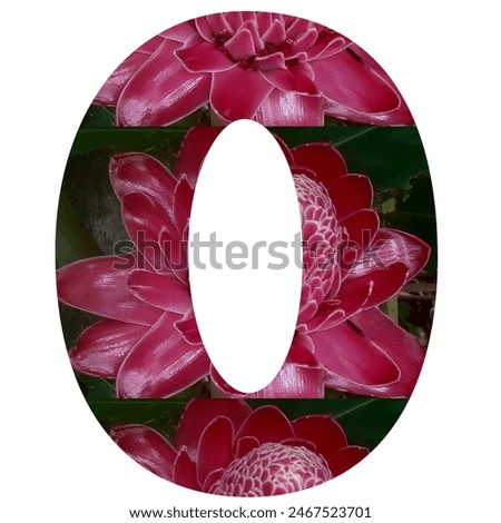 number zero with combrang flower texture and white background 