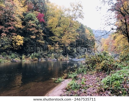 Fall colors by the creek in the Appalachian mountains