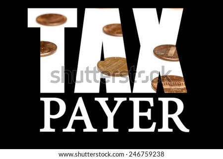 Tax Payer 