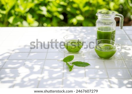 Image of summer green tea, cold tea enjoyed in the shade of a tree