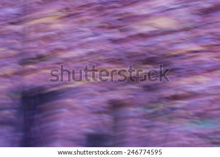 blurry abstraction of forest photographed on long exposure. vintage mood photo