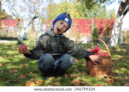 The little boy posing outdoors with apples 
