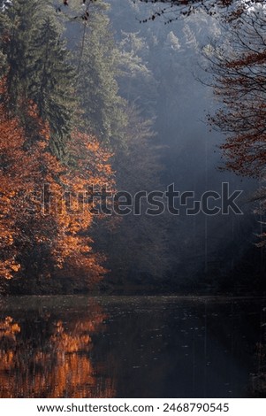Autumn in The Saxon Switzerland National Park, or Nationalpark Sächsische Schweiz in Germany. Fall colors.
