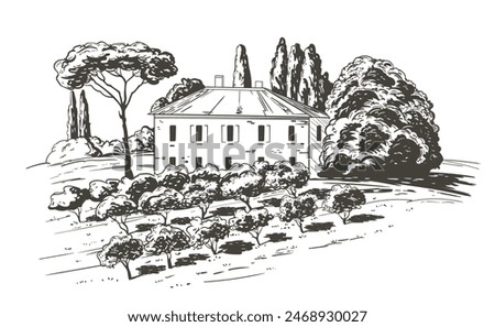 Countryside scenery in Tuscany, Italy. Handmade drawing vector illustration with olive plants in first plan, house and trees in background. Vintage style. Engraved old sketch monochrome vector.