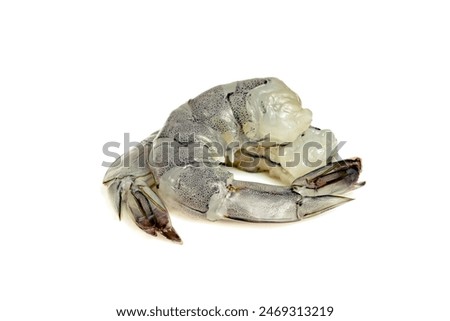 Peeled shrimp raw isolated on white background
