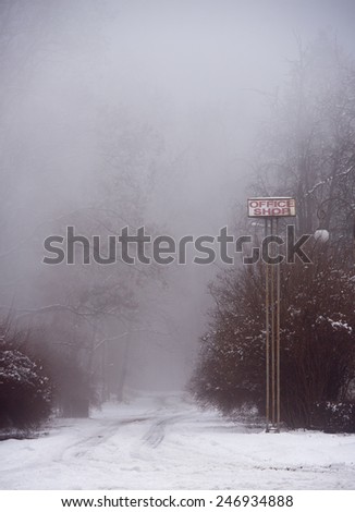 road in the winter forest in the fog