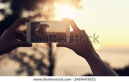 Person, hands and phone for picture in nature at sunset, vacation with memory of horizon. Mobile photographer, ui screen and summer scene with tree at dusk, beach holiday with creativity in Mauritius