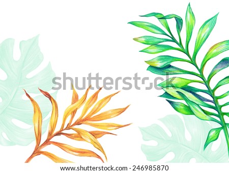 yellow and green tropical palm leaves, nature wallpaper, jungle plants watercolor illustration, isolated on white background