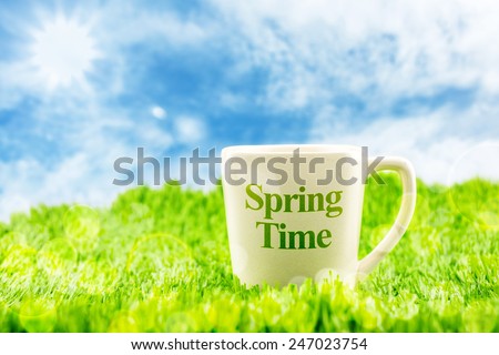 White coffee cup with spring time word on green grass with blue sky and sunburst ,Spring Season