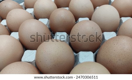 photo the brown color chicken egg 