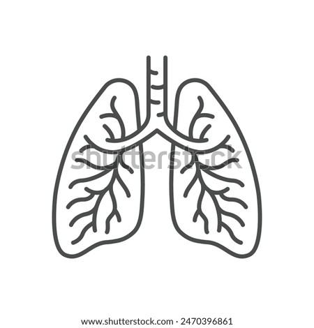 Lungs flat line icon. Vector thin pictogram of human internal organ, outline illustration for pulmonary clinic.