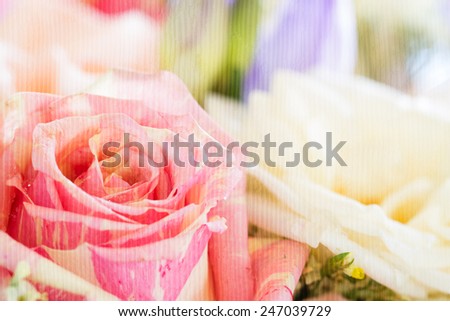 closeup soft pastel color roses bouquet on paper texture