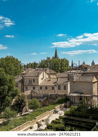 Scenic view of Avignon, France, featuring historic buildings, lush greenery, and church spires under a clear blue sky. Captures the charm and beauty of this historic town.