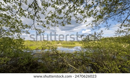 A peaceful scene of a tranquil lake nestled amongst lush green trees and a blue sky filled with fluffy white clouds.