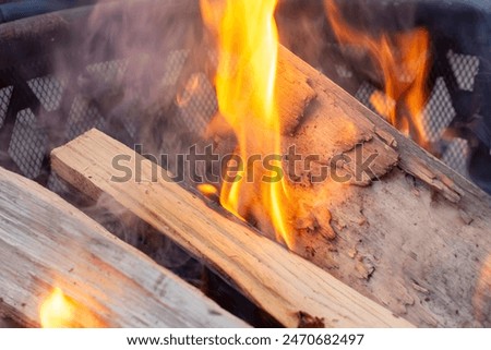 Logs burn in an outdoor firepit.