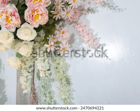 White rose flower mixed with pink, white background with copy space left.