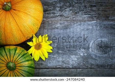 Fresh pumpkins decorated  sun flower on wooden table, top view