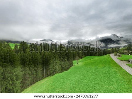Gstaad view of the Alps, forest, Switzerland, mist over the Swiss forest, idyllic Swiss atmosphere, mysterious Swiss Alps