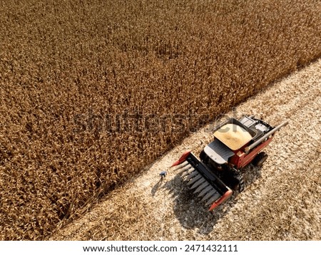 Corn harvesting with tractors in the interior of the state of São Paulo, in Brazil