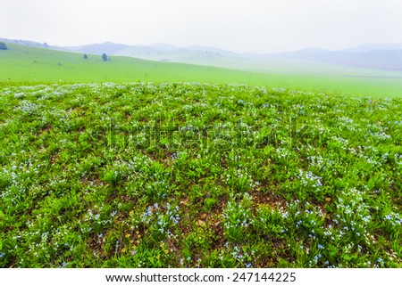 Green field with white clouds and blue sky