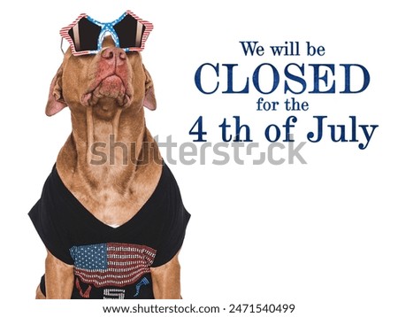 We will be closed for the 4th of July. Signboard and a cute dog. Closeup, indoors. Studio shot. Congratulations for family, loved ones, friends and colleagues. Pets care concept