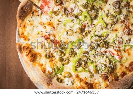 vegetarian cheese pizza on a plate close up