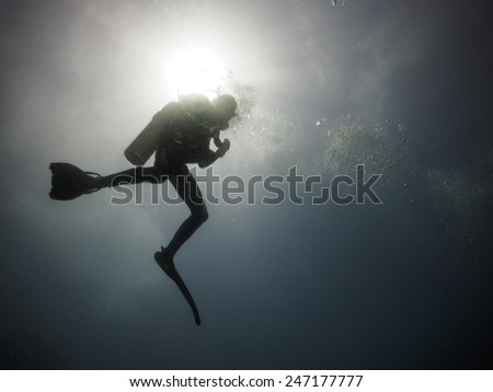 The Scuba Diver Silhouette