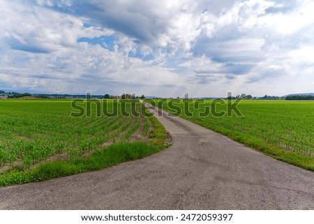 Diminishing view of rural road with agriculture fields sand scenic rural landscape just outside Swiss City of Payerne on a cloudy spring day. Photo taken June 5th, 2024, Payerne, Switzerland.