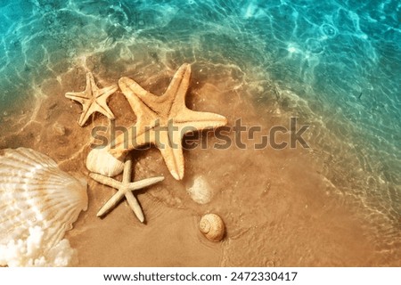 Starfish and seashell on the summer beach in sea water. Summer background. Summer time.