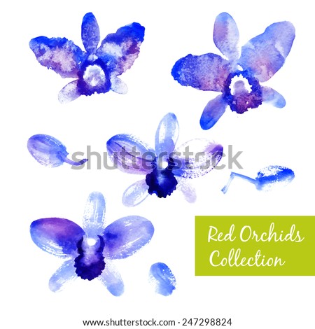 Collection of beautiful blue vector watercolor orchids