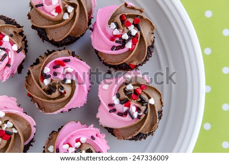 Valentines Day chocolate mini cupcakes with chocolate and pink swirl icing on green polka dot background