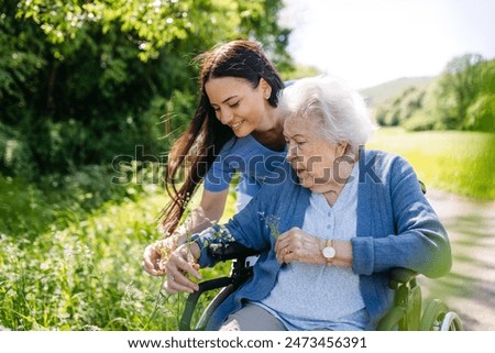 Female caregiver and senior woman in wheelchair picking wild flowers. Nurse and elderly woman enjoying a warm day in nursing home, public park.