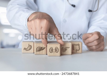 Concept of diagnosis and treatment of internal organs. The doctor selects a cube with a picture of a kidney among the internal organs.