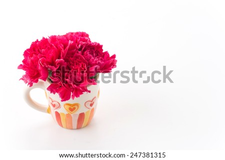 red carnations flower on white background