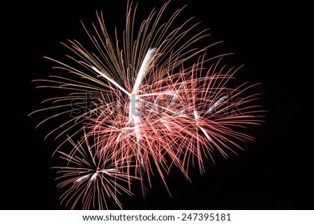abstract Colorful fireworks with various colors on dark night backgrounds