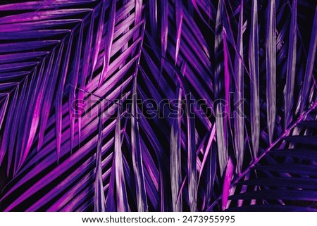 Creative tropical palm tree leaf background painted in purple dark color. Creative background for design.
