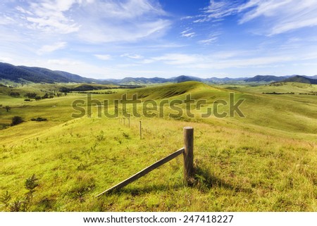 Australia regional NSW rural landscape of grazing cultivated agricultural land in Barrington tops region developed for cattle growing  Royalty-Free Stock Photo #247418227