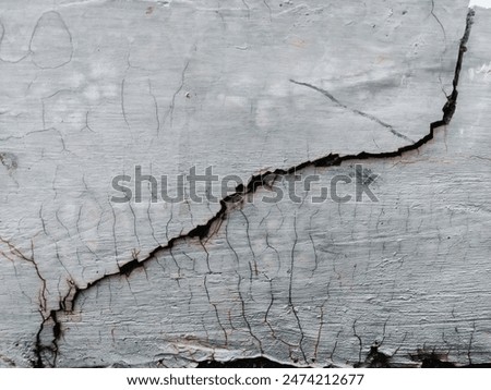 The texture of the white wall is cracked and slightly rusty