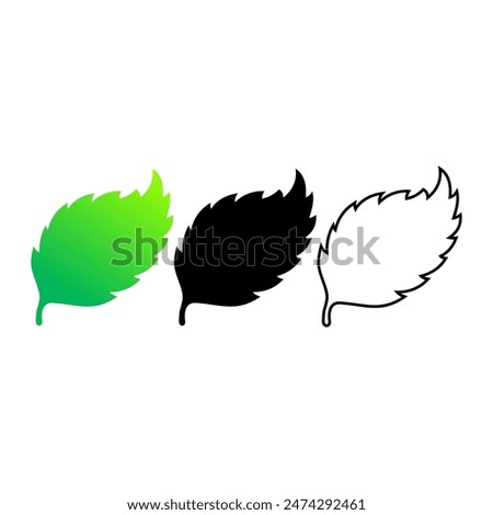 Vector three leaf illustration from nature.