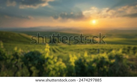 Blur background of sunset shining over lush vineyards with rolling hills in the background. Agricultural landscape photography. Wine production and rural beauty concept. Design for poster. Spate.