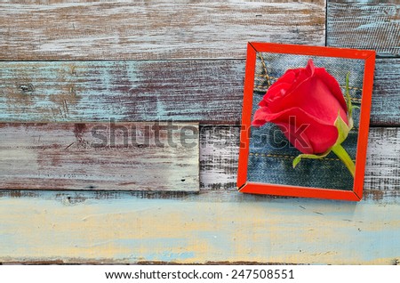 red rose in wooden frame hanging on a wooden board, Valentine's day concept