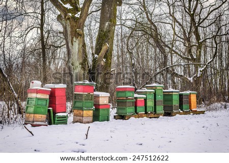 Picture of been boxes in with snow in winter