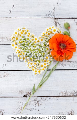 Flower heart over white background