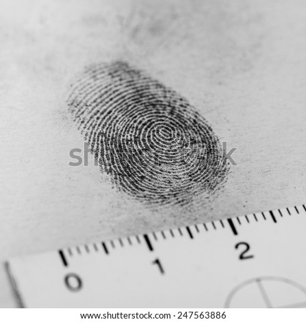 View of a fingerprint revealed by printing. Royalty-Free Stock Photo #247563886