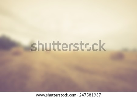 blurry field landscape with vintage mood