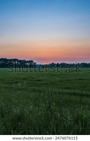 A tranquil scene of a sunset over a grassy field, captured from behind a wire fence. In North Brabant the Netherlands