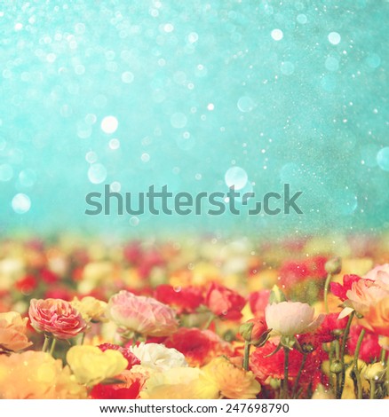 abstract photo of wild flower field and bright bokeh lights. 