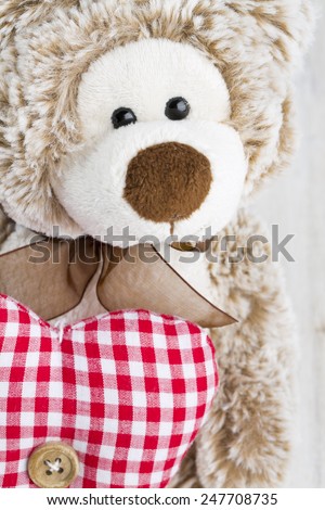 teddy bear holding heart