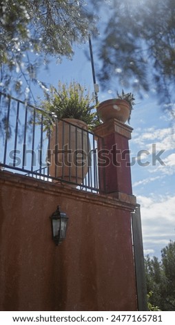 A terracotta wall with a potted plant atop, next to a lantern, under a blue sky, framed by out-of-focus tree branches.